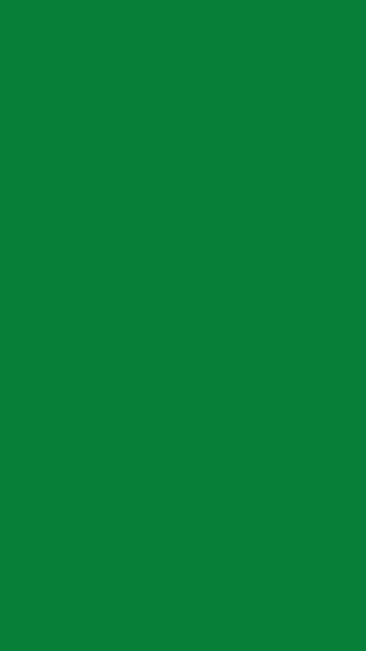 Vert Image