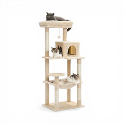 Arbre à Chat Multi-Niveaux Apache