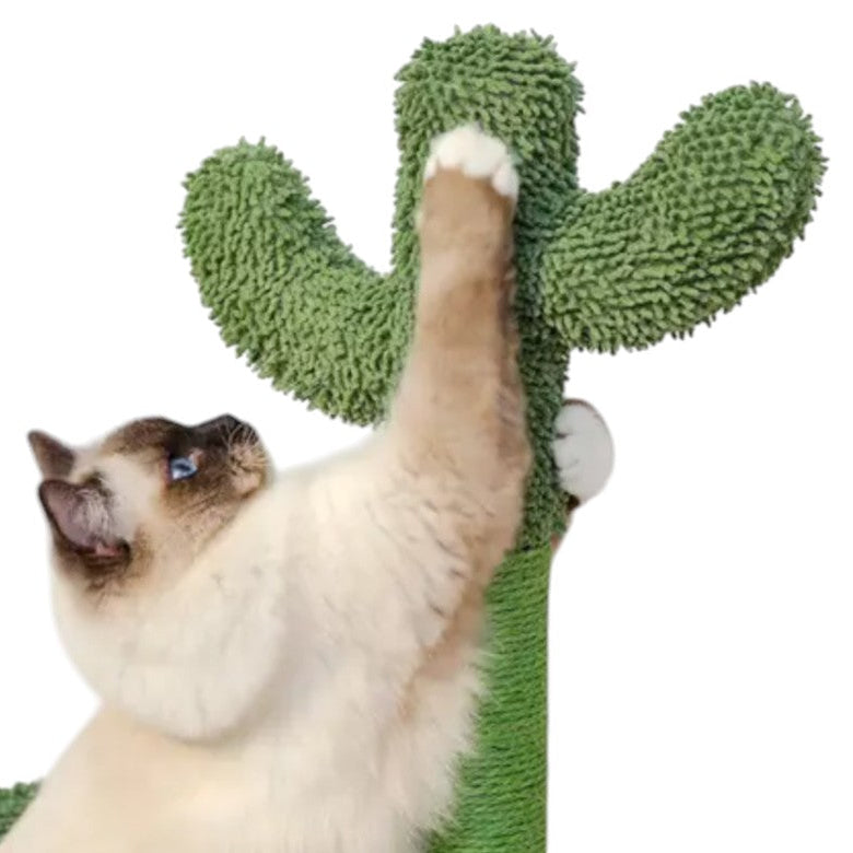 Arbre à Chat Cactus Petit 102cm - Chactus