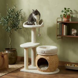 Arbre à Chat Molletonnés Nabraska