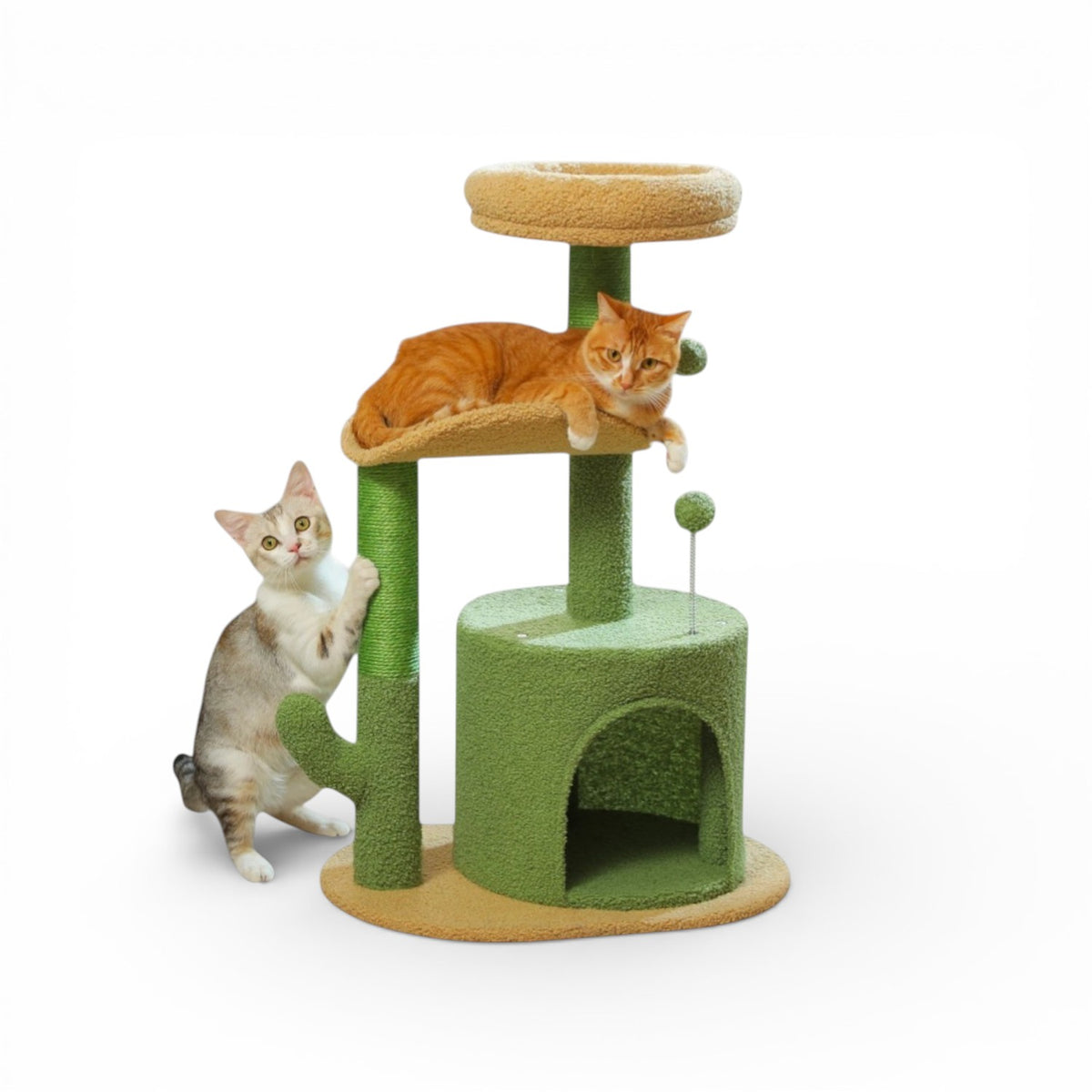 Arbre à Chat Cactus Design 80cm - CATCUSA