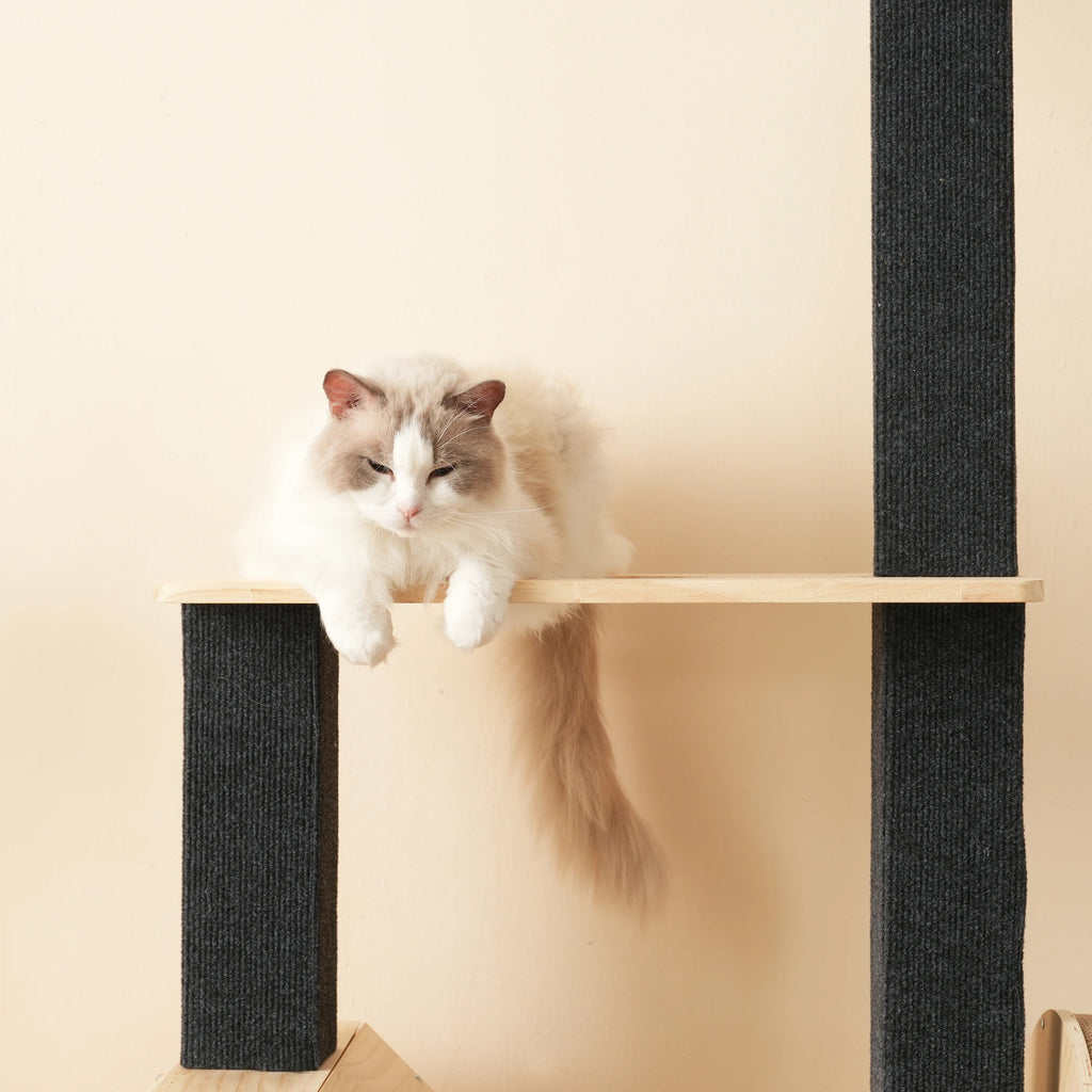 Arbre à Chat Roue Jeu Bois Massif - TIGRA