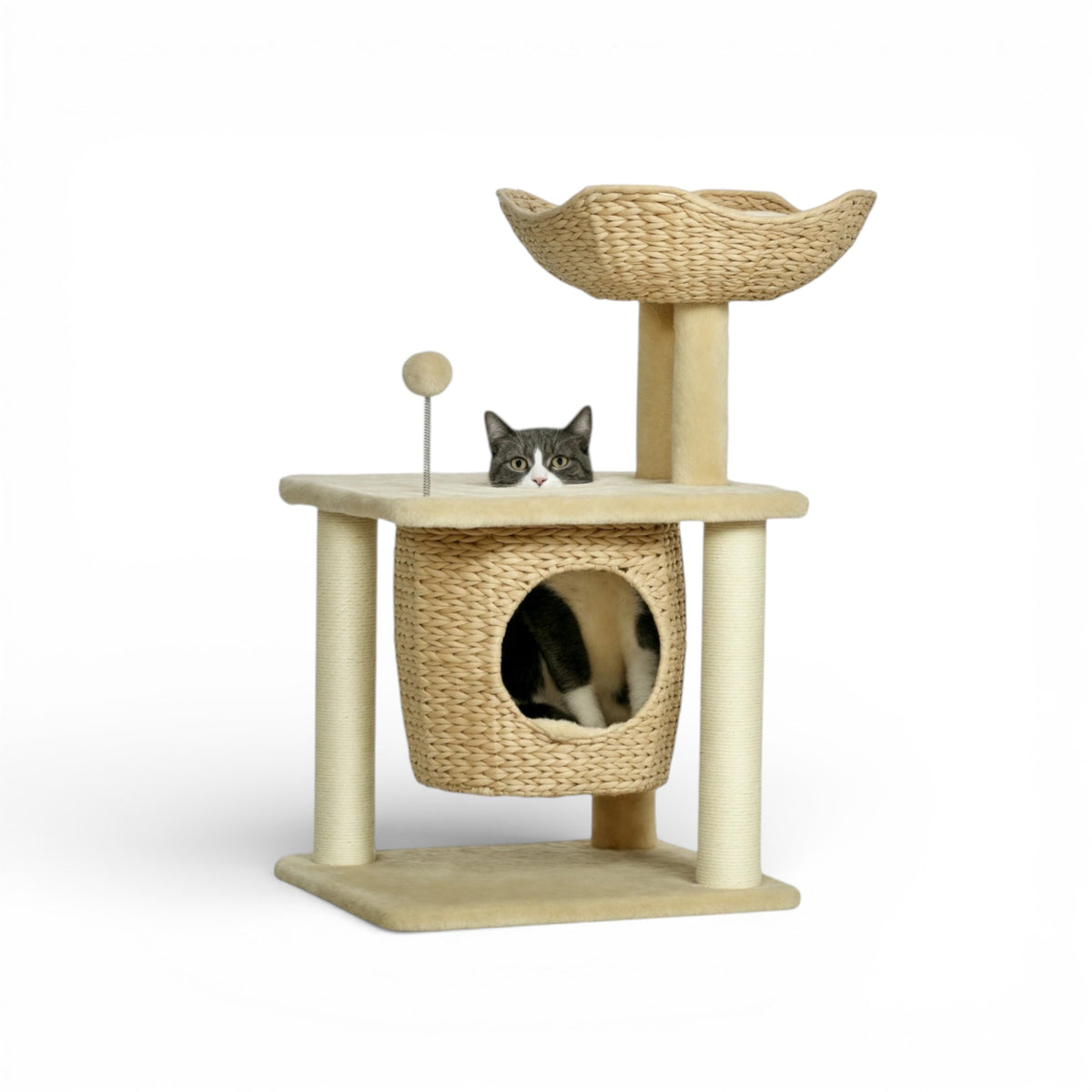 Arbre à Chats Griffoir - JASMINA