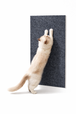 Griffoir pour chat adhésif Tapis et Canapé Grifto