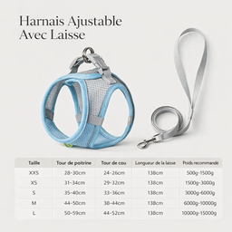 Harnais et laisse pour chat Noscape