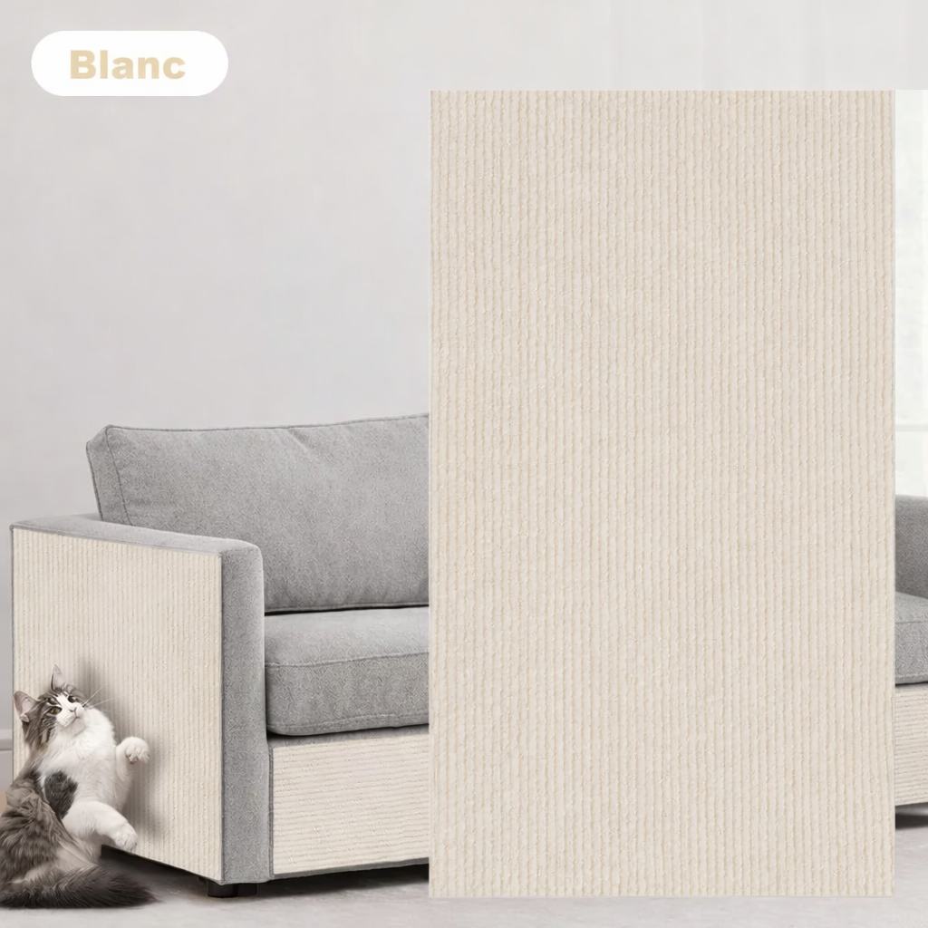 Griffoir pour chat adhésif - Tapis et Canapé - GRIFTO