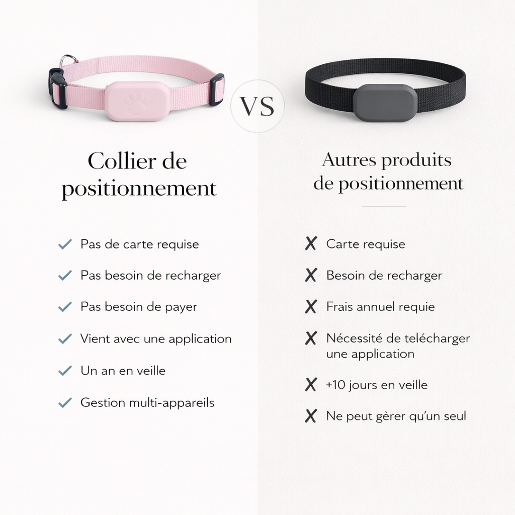 Collier GPS pour chat Cattou