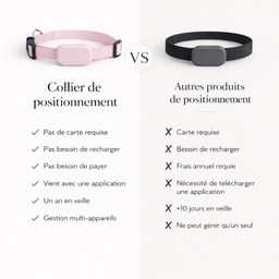 Collier GPS pour chat Cattou