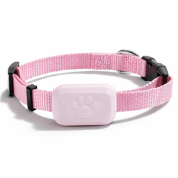 Collier GPS pour chat Cattou