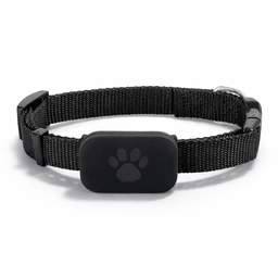 Collier GPS pour chat Cattou