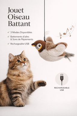 Jouet interactif oiseau pour chat Flycatch