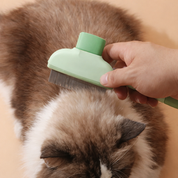 Brosse anti-poil pour chat Removy