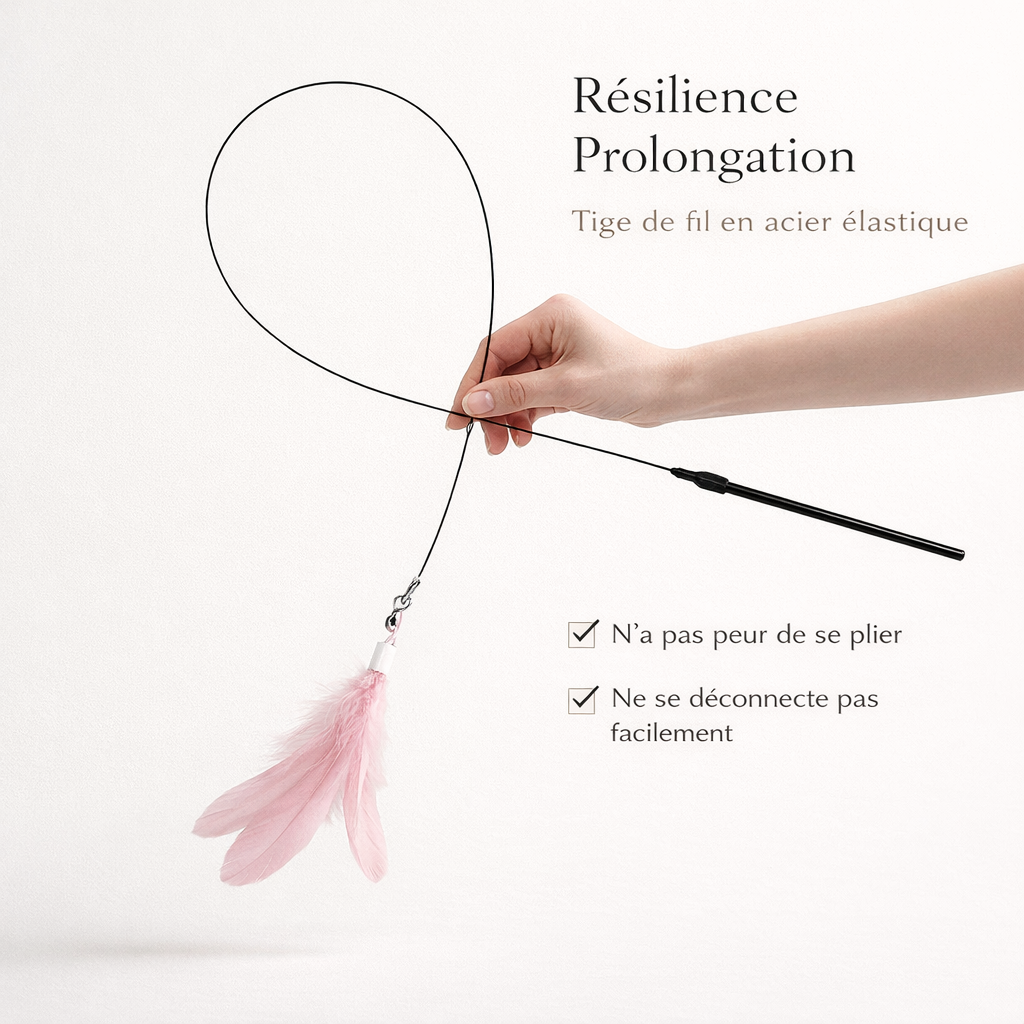 Jouet interactif pour chat Plaifu