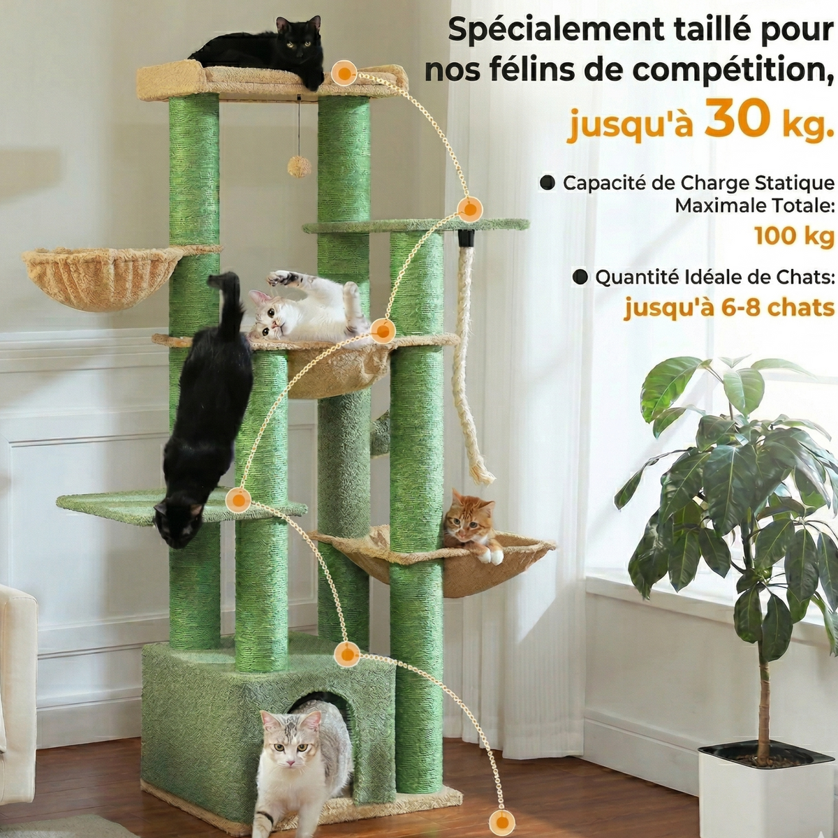 Arbre à Chat XXL 170 cm - MAJESTIC