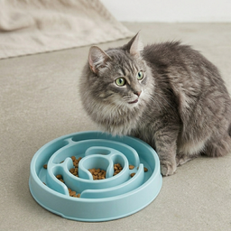 Gamelle pour chat anti-gloutons Glouzo