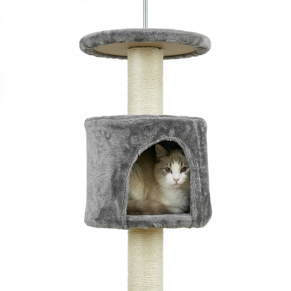 Arbre à chat sol au plafond 217cm- FELIX