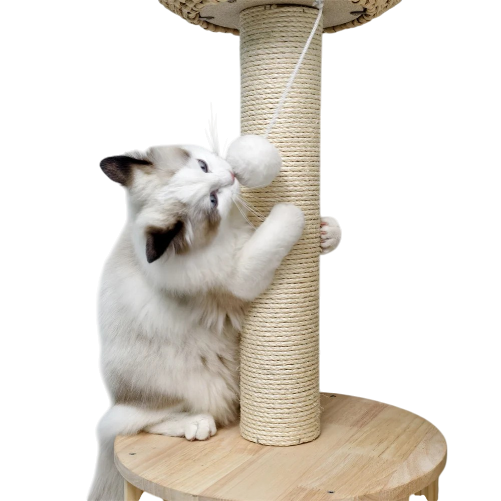 Arbre à Chat en Bois et Osier Panio
