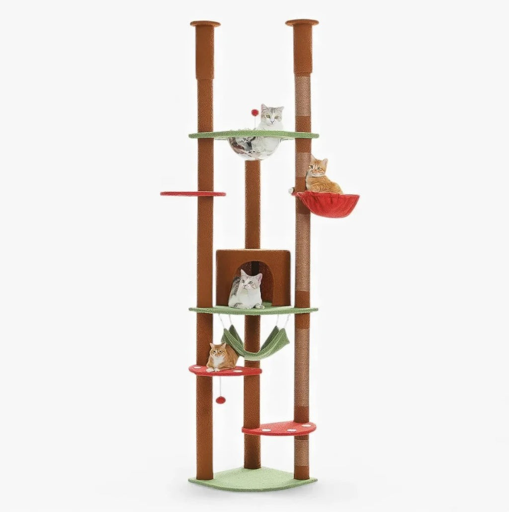 Arbre à Chat XXL du Sol au Plafond  - CATCHAMP