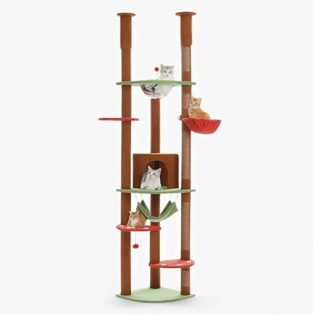 Arbre à Chat XXL du Sol au Plafond  - CATCHAMP