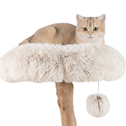 Arbre à Chat Bois Massif 110cm Okinawa