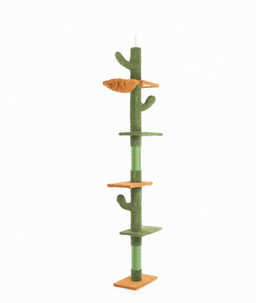 Arbre à Chat Cactus Géant Fudajo