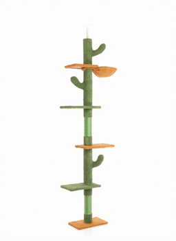 Arbre à Chat Cactus Géant Fudajo