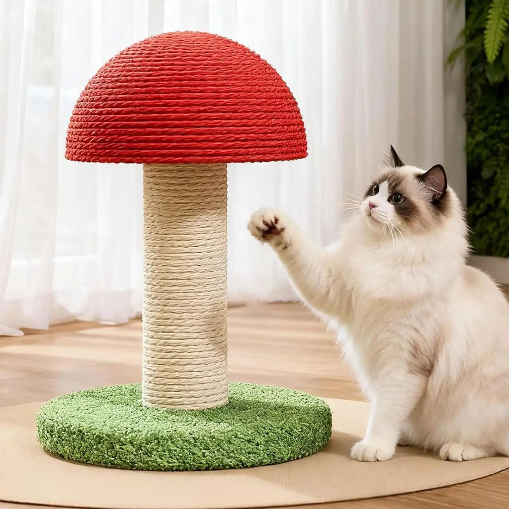 Griffoir pour chat design champignon Champy