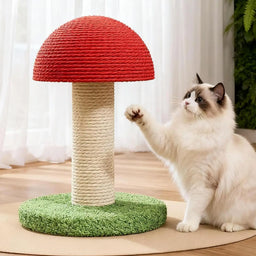 Griffoir pour chat design champignon Champy