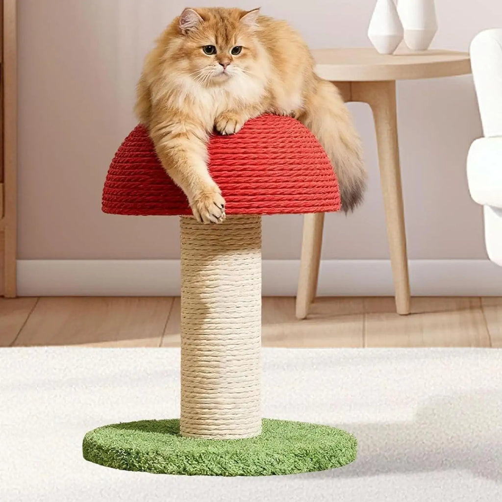 Griffoir pour chat design champignon Champy