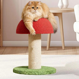 Griffoir pour chat design champignon Champy