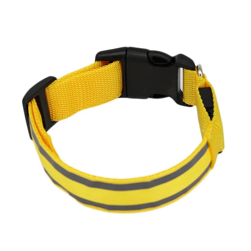 Collier LED rechargeable réfléchissant Lumo
