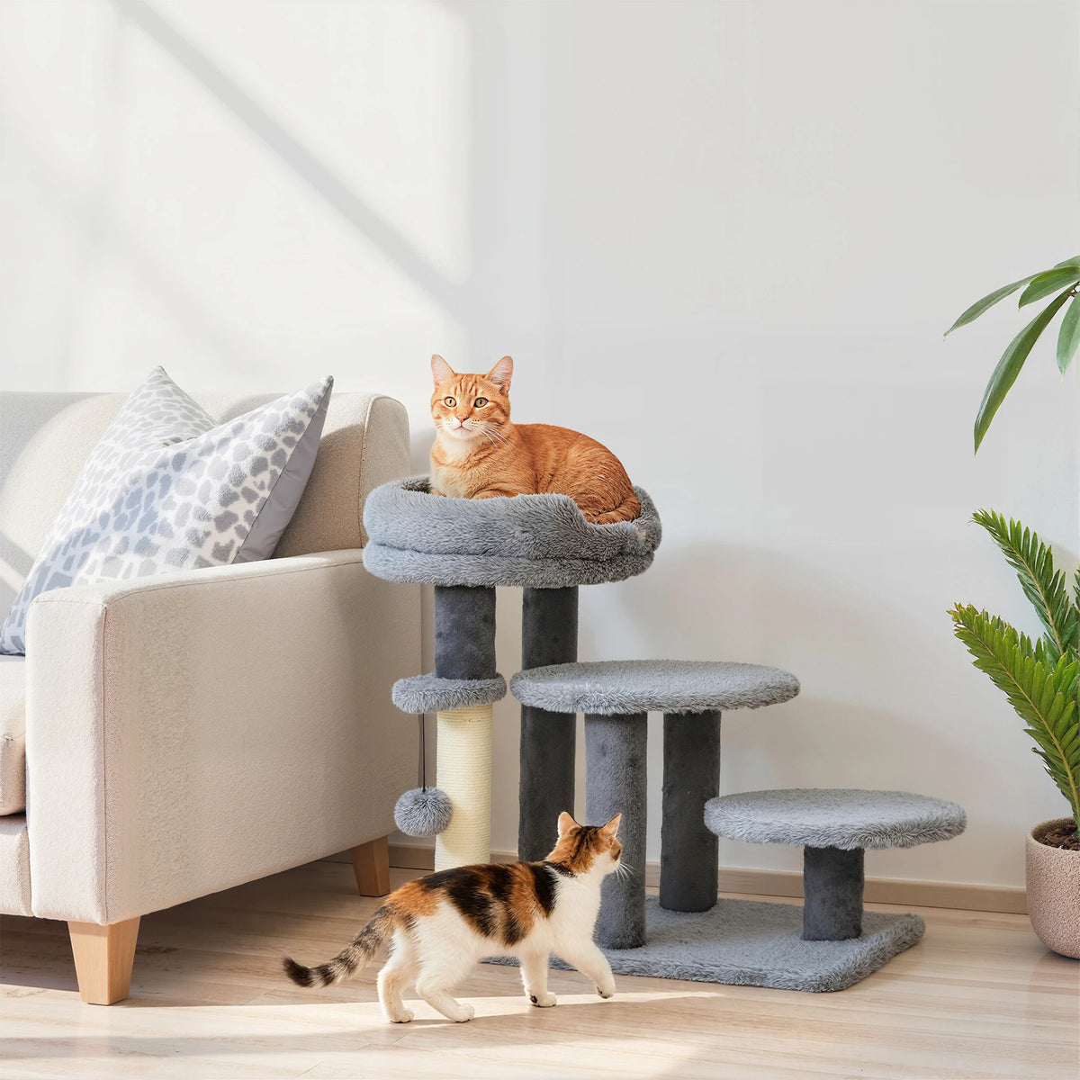 Arbre à Chat Escalier avec Plateformes Gris - SCALO