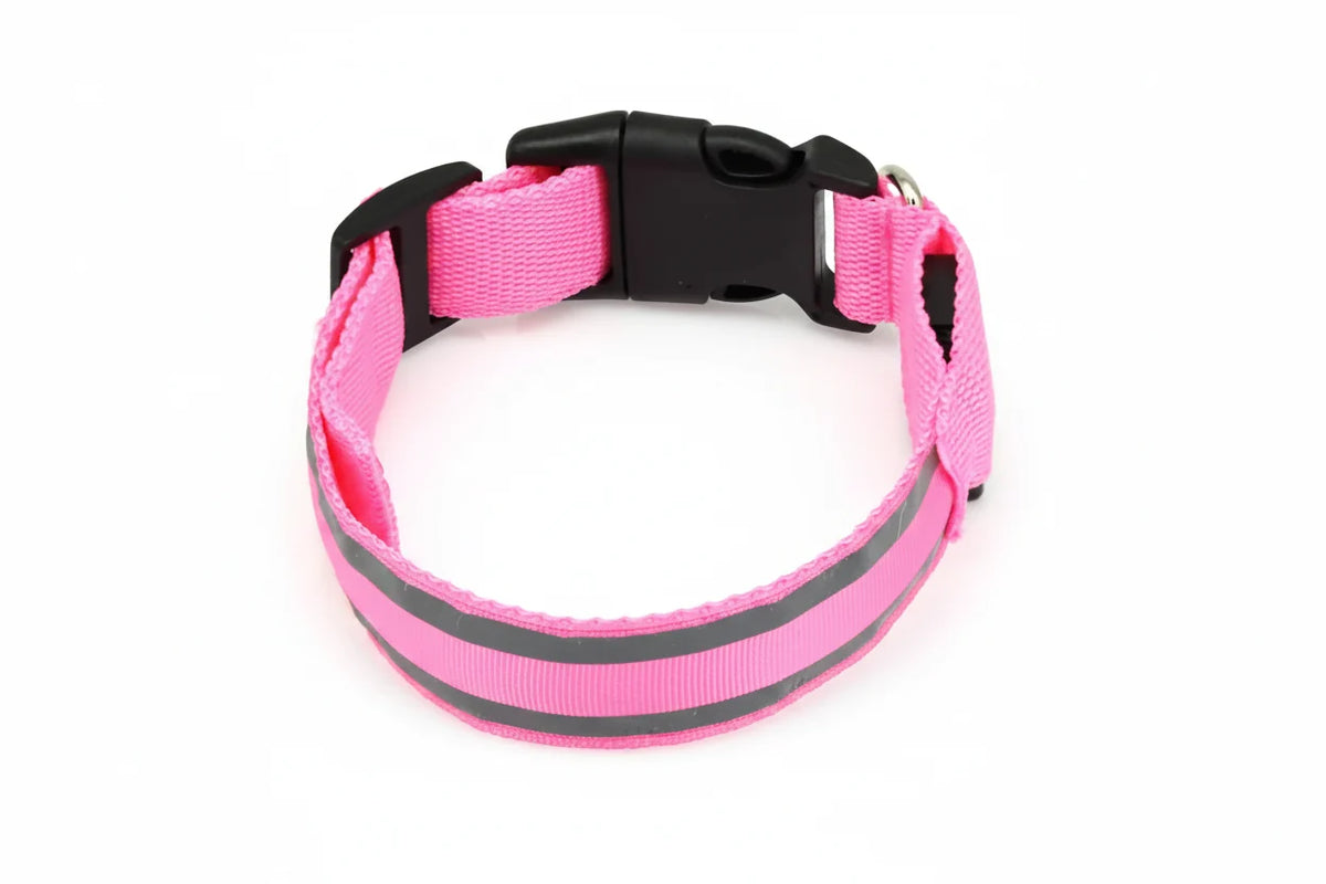 Collier LED rechargeable réfléchissant Lumo