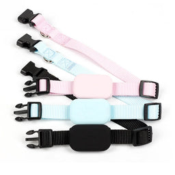 Collier GPS pour chat Cattou