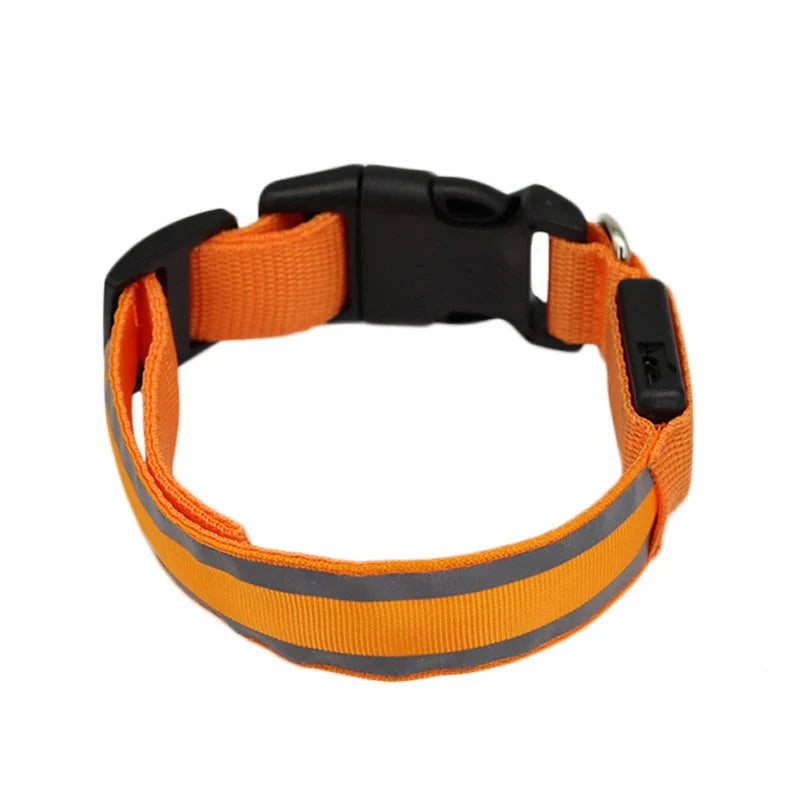 Collier LED rechargeable réfléchissant Lumo
