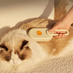 Brosse pour chat à vapeur Fumio