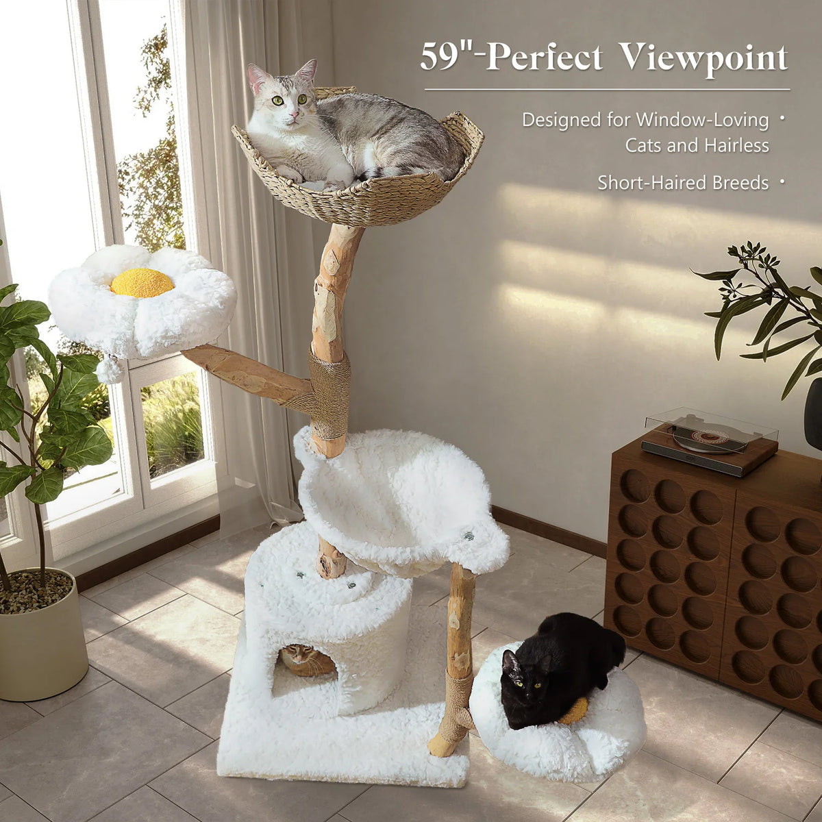 Arbre à Chat Design Bois FIORA DI VITA