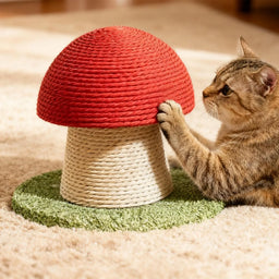 Griffoir pour chat design champignon Champy