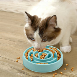 Gamelle pour chat anti-gloutons Glouzo