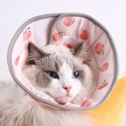 Collier pour chat avec protection Nopein
