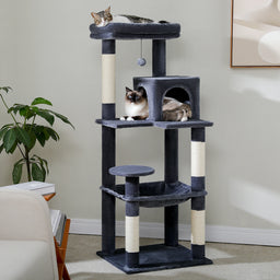 Arbre à Chat Multi-Niveaux Apache