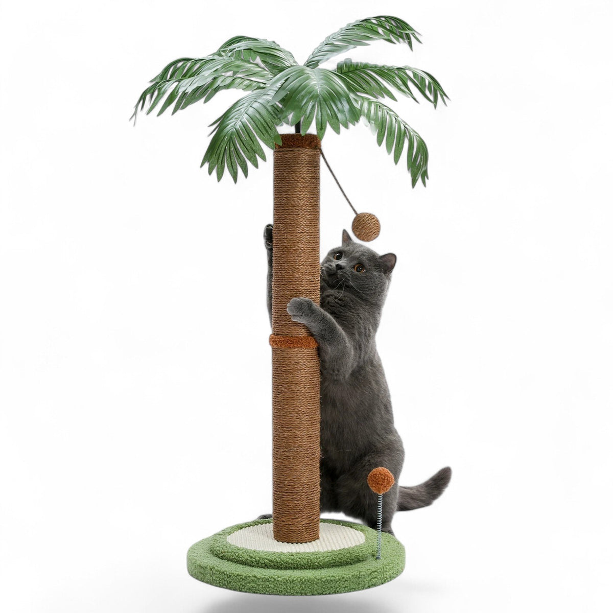 Griffoir pour chat poteau - COCO