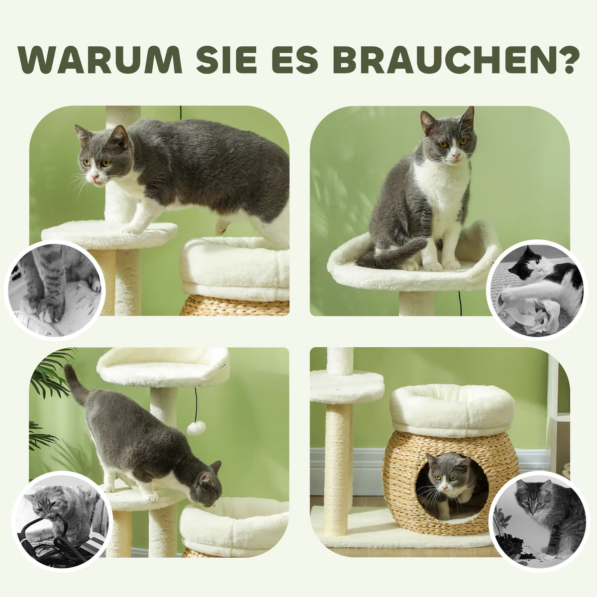 Arbre à Chat Design Moelleux Molletonnés Blanc Crème - NABRASKA