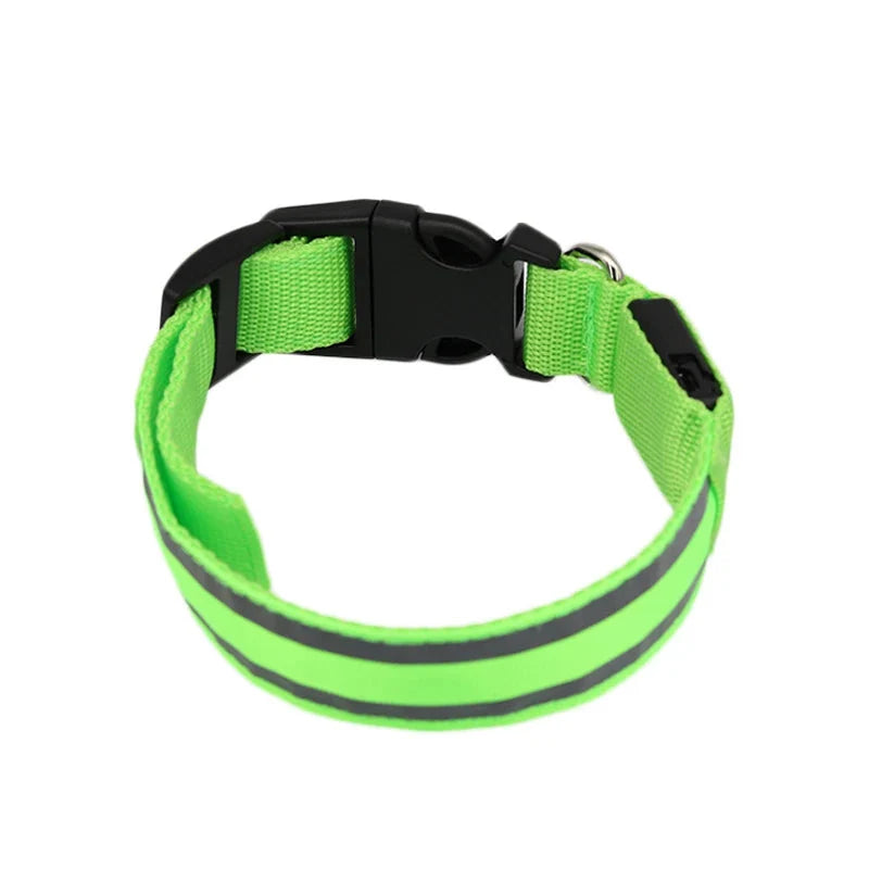 Collier LED rechargeable réfléchissant Lumo