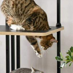 Arbre à Chat Design Industriel 170cm Ravelo