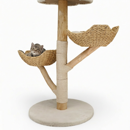 Arbre à Chat en Bois Massif 122cm Simba
