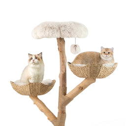 Arbre à Chat Bois Massif 110cm Okinawa