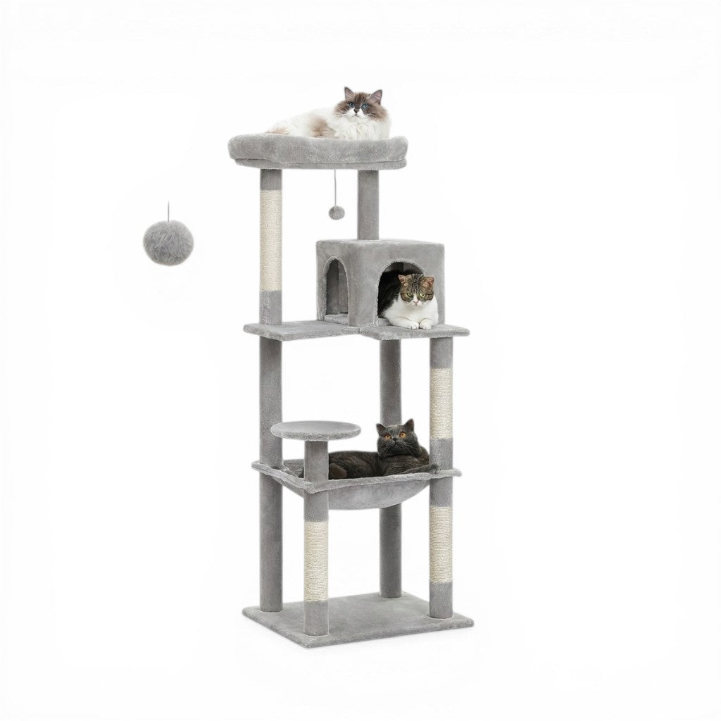 Arbre à Chat Multi-Niveaux Apache