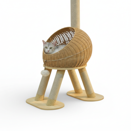 Arbre à Chat Design Dinocat