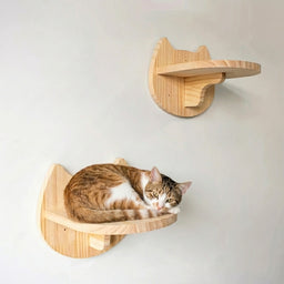 Arbre a chat mural en bois escalier Strada